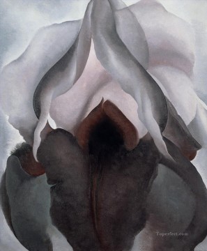 black iris Georgia Okeeffe American modernism Precisionism Oil Paintings